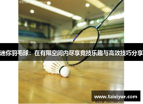 迷你羽毛球：在有限空间内尽享竞技乐趣与高效技巧分享