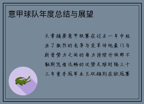 意甲球队年度总结与展望