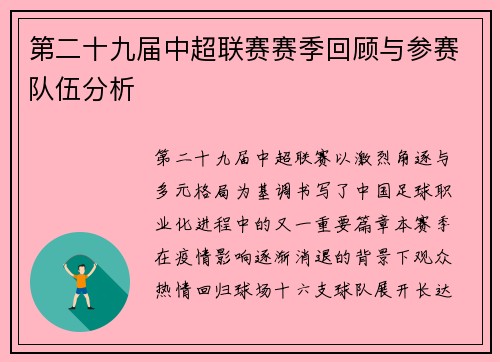 第二十九届中超联赛赛季回顾与参赛队伍分析